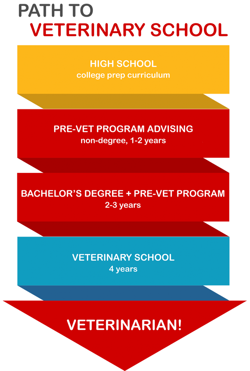 Pre Veterinary Medicine Nebraska Pre Vet